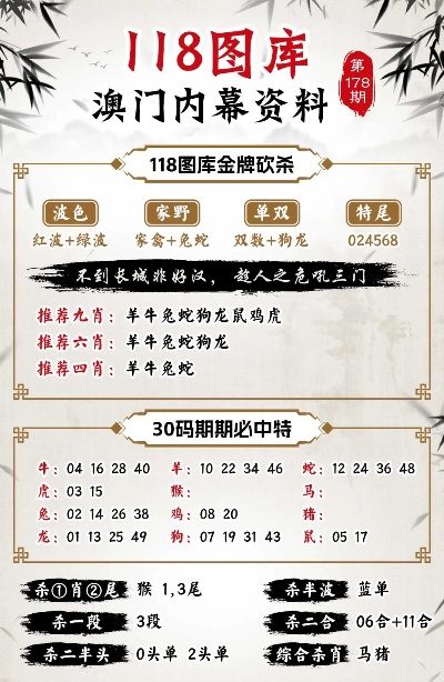 澳门管家婆100%精准，全面释义、解释与落实